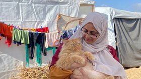 Kočky Simsim, Brownie a Liza dělají radost dětem v uprchlickém táboře u města Chán Júnis v Pásmu Gazy.