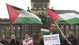 Pochod za podporu Palestiny