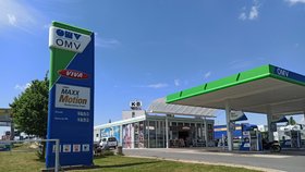 Cena pohonných hmot v Plzni 31.5.2022