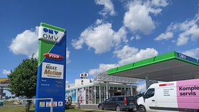 Cena pohonných hmot v Plzni 1. 6. 2022