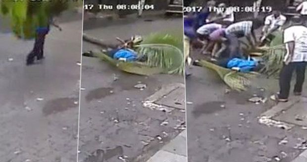 Smrt na videu: Moderátorku zabila padající palma, tragédii zachytily kamery