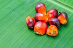 Palmový olej není takový strašák, jak se může zdát.