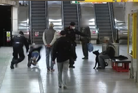 Agresivní pes ohrožoval v metru cestující, majitel byl namol. Strážníci tam náhodou našli i hledaného mladíka (17)