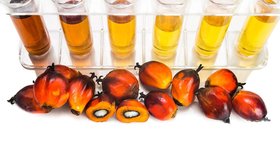 Cílem výrobců je mást spotřebitele, proto uváděli na výrobcích „rostlinný tuk“ místo „palmový olej“.