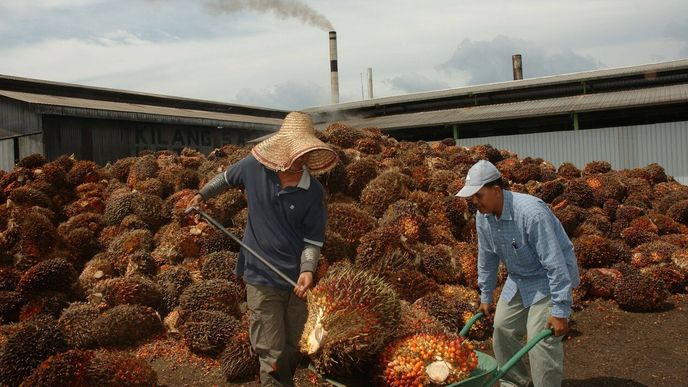 Čína je podezřelá z toho, že z Indonésie a Malajsie dováží biopaliva z palmového oleje a prezentuje je jako paliva z odpadních produktů.