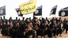 Teroristická organizace Islámský stát