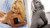 Pamela Anderson šla opět do naha! Podívejte se na nové fotky bývalé playmate