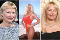 Pamela Anderson slaví 58. narozeniny: Sexsymbol s romantickou duší. Nikdy nezažila švédskou trojku!