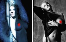 Pamela Anderson nafotila hanbaté fotky a říká: Už nejsem tak sexy... 