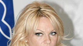Idol devadesátých let Pamela Anderson se ne a ne vymanit z léty okoukané image.