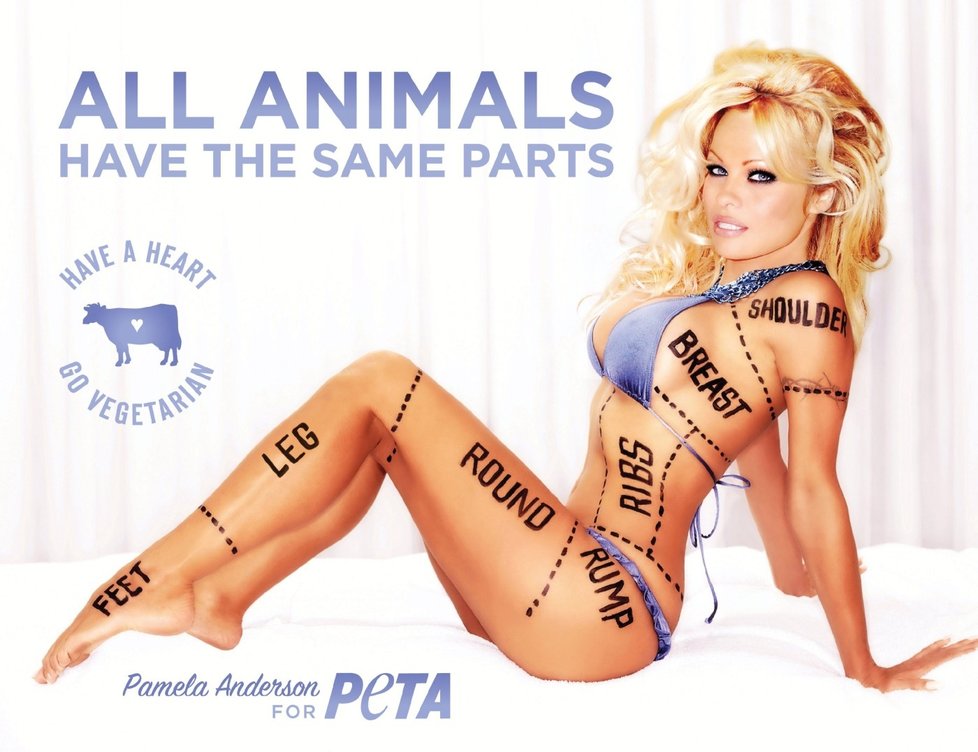 Pro charitativní organizaci PETA, která se působí na poli ochrany zvířat, se fotila i Pamela Anderson