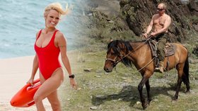 Americká herečka Pamela Anderson a ruský prezident Vladimir Putin. Spojuje je láska ke zvířatům?