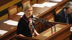 Školský zákon a pamlsková vyhláška se řešily ve Sněmovně: Ministryně školství Valachová (18. 1. 2016).