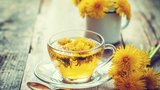 Léčivá síla pampelišek: Připravte si čaj, kávu či »med« 