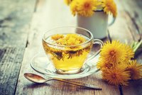 Léčivá síla pampelišek: Připravte si čaj, kávu či »med«