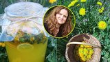 Osvěžující pampelišková limonáda: Snadný recept od Jany z jižních Čech, který určitě zkuste!