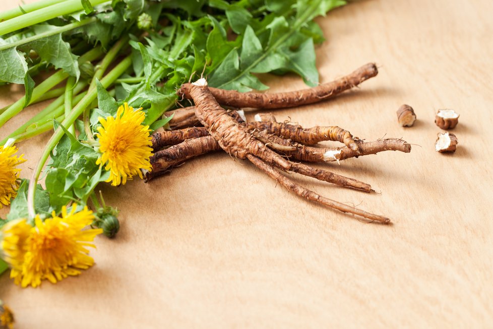 Smetanka lékařská neboli pampeliška obsahuje beta karoten, vitamín K, podporuje imunitní systém, pomáhá odplavit špatné látky z těla a slouží jako prevence proti nejrůznějším onemocněním. Využít se dá každá část této rostlinky.