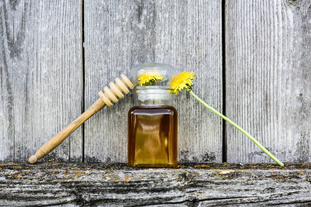Pampeliškový med je snadný na přípravu
