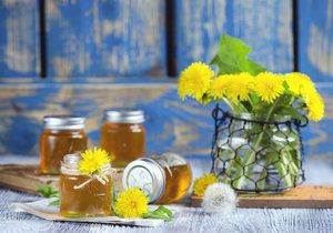 Uvařte si pampeliškový med se zázvorem, chutná skvěle a má léčivé účinky