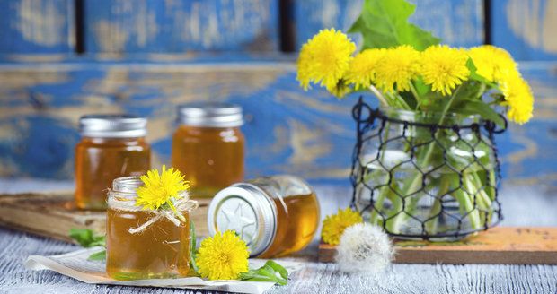 Pampeliškový med oceníte nejen při kašli a nachlazení