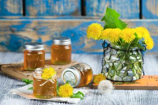 Jarní domácí medy: Vyrobte si pampeliškový, sedmikráskový nebo jitrocelový