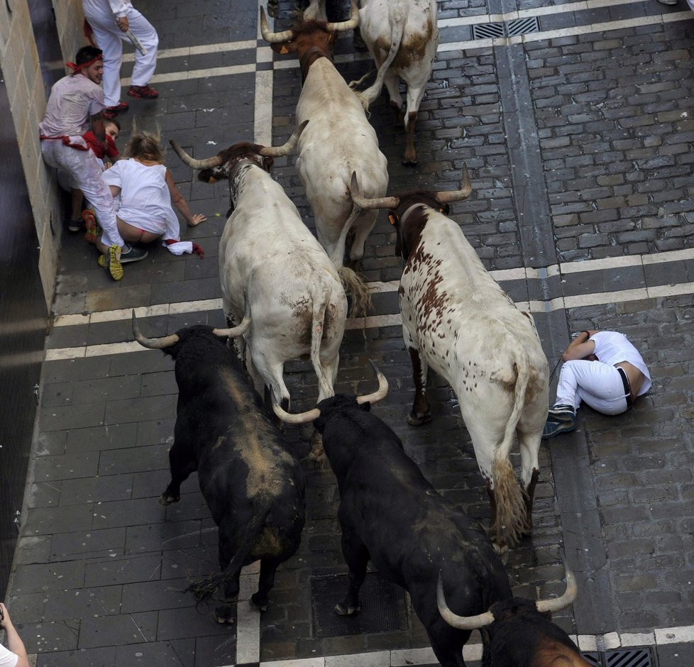 Býčí festival San Fermín