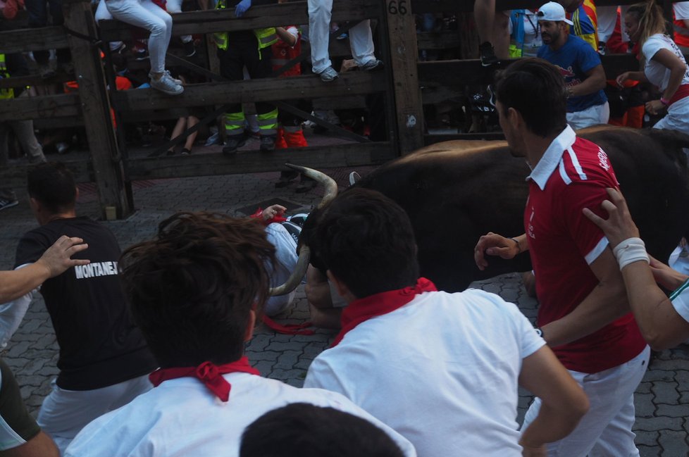 Tisíce běžců změřily ve čtvrtek své síly s půltunovými zvířaty při prvním z osmi býčích běhů letošního ročníku fiesty ve španělské Pamploně.