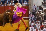 Fiesta v Pamploně, jejíž součástí jsou býčí zápasy i běh s býky, se blíží. Vypukne 6. července.