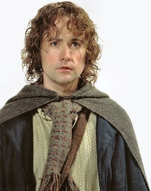 Billy Boyd (48), Pipin