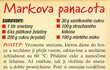 Markova panacota