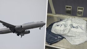 Boeing kvůli podezřelému předmětu připomínajícímu bombu nouzově přistál. Drama způsobila plenka!