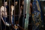 Život v panamské věznici La Joya
