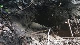 Nálezce vyděsila válečná munice: Na Domažlicku hlavice pancéřové pěsti, u Tachova atrapa granátu