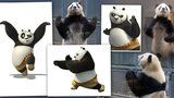 Dívejte na ty chvaty: Tohle je skutečná Kung Fu Panda!