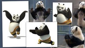 Dívejte na ty chvaty: Tohle je skutečná Kung Fu Panda!