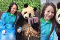 Pandastické: Černobílá šelma se naučila dokonalému pózování pro selfie