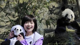 Pandy vykouzlily Japoncům úsměv na tváři
