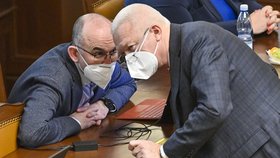 Pandemický zákon ve Sněmovně: Jan Blatný a Jaroslav Faltýnek (18.2.2021)