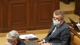 Expremiér Andrej Babiš ve Sněmovně