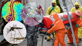 Svět není připraven na vypuknutí smrtelné epidemie.