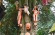 Panenky visí i na stromě nebo jsou napíchané na kůlech.