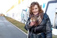Přežila své děti, její rodinou jsou psi a kočky. Žije s nimi v chatce bez elektřiny
