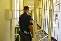 Vězeň se pokusil za mříže propašovat léky a drogy: Schovával je v konečníku