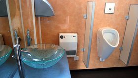 Záchod pro papeže je vkusně zařízený skleněným umyvadlem, nerezovými kohoutky, kovovým zásobníkem na tekuté mýdlo, skříňkou, elektrickým vysoušečem na ruce, přímotopem a pisoárem s boční stěnou, který se splachuje na fotobuňku.