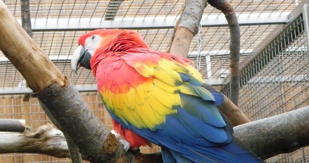 V papouščí zoo vítali o víkendu jaro: Do Bošovic míří návštěvníci z celého světa