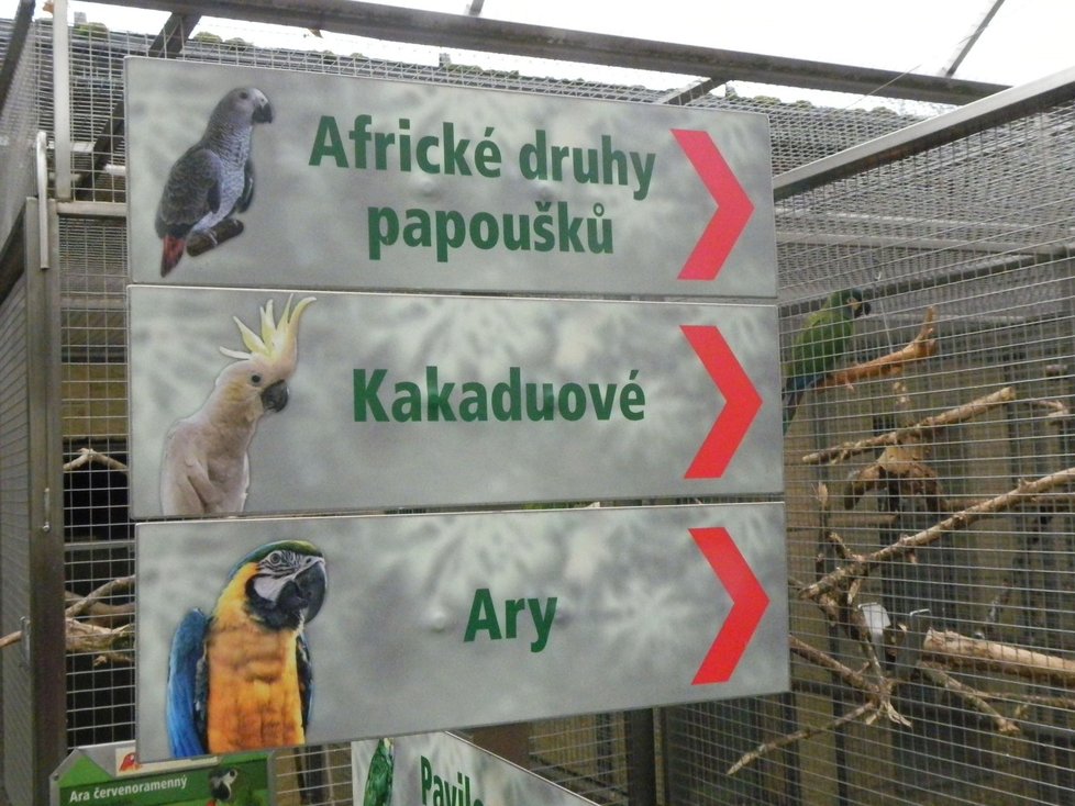 Račte vstoupit do unikátní papouščí zoo!