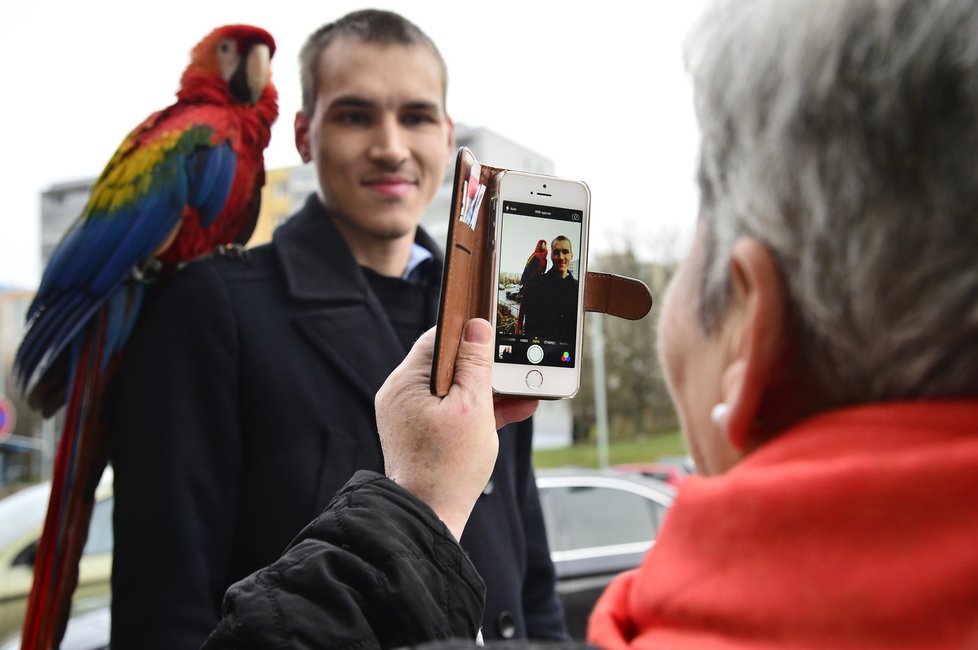 Eliška je místní celebrita. Její majitel Jiří ji bez obav venčí na bohnickém sídlišti, nebojí se, že uletí.