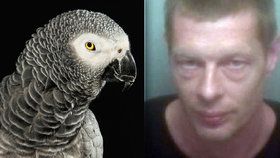 Vitalij Kiseliov byl usvědčen díky papouškovi Rockymu, který ho napadl.