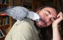 Nejsprostější papoušek Česka: Nikdo s ním nevydrží!