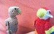 Nahý papoušek baví internet!